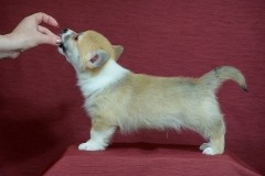 5_Оливер_050616