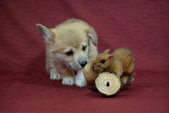 7_Жан Поль_060516