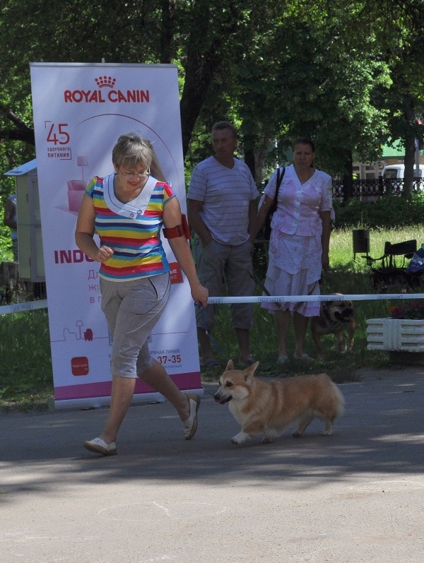 Выставки