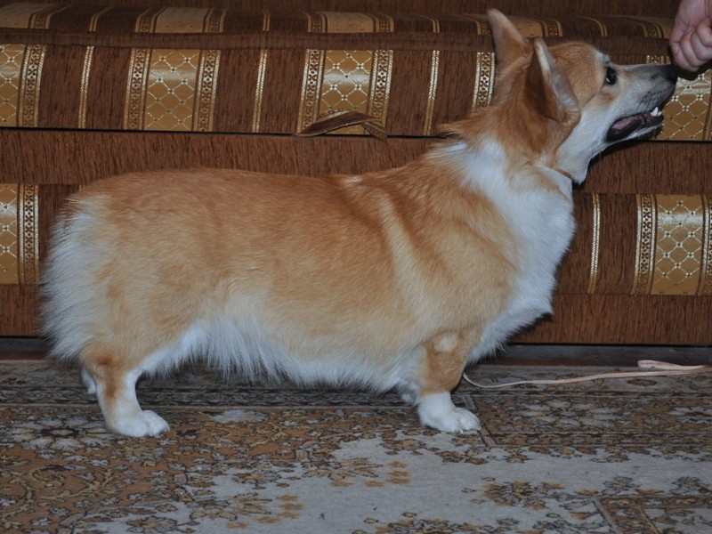 Учимся стоять
