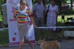 Выставки