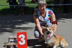 BIG III ))))