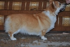 Учимся стоять
