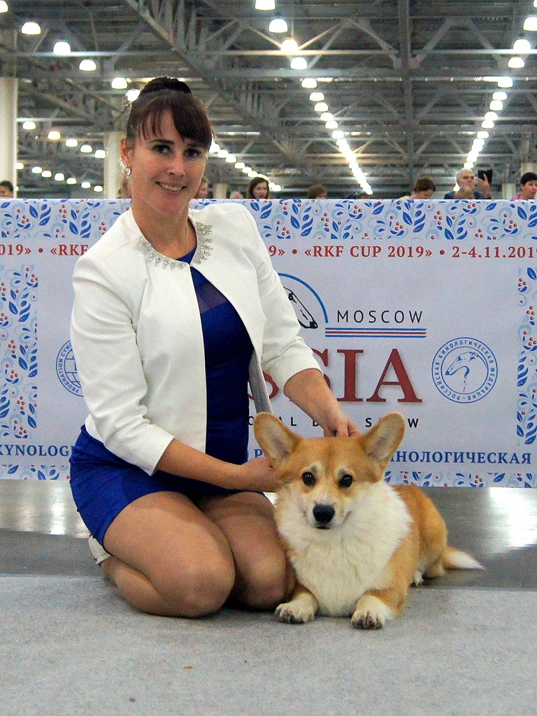 Дон