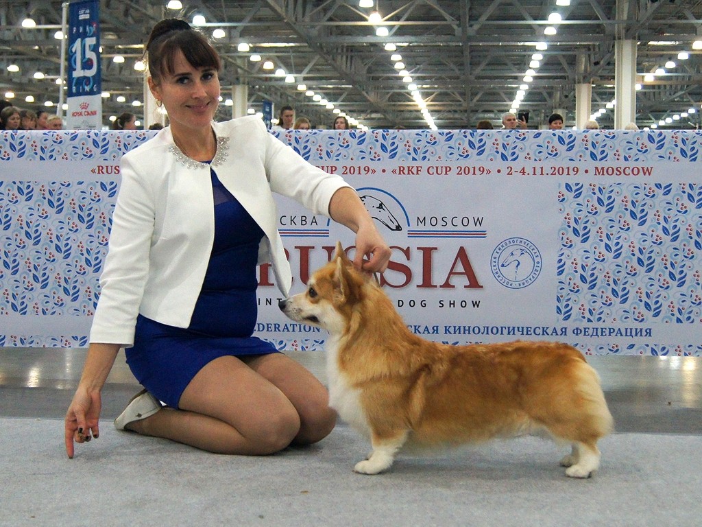 Кнопа