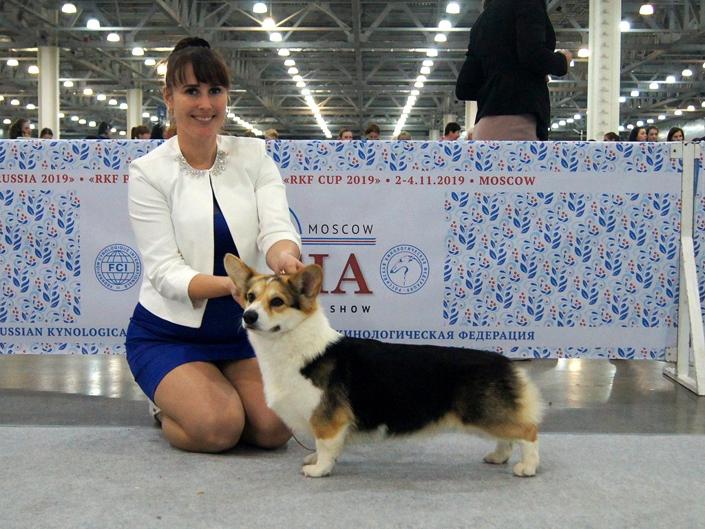 Белла