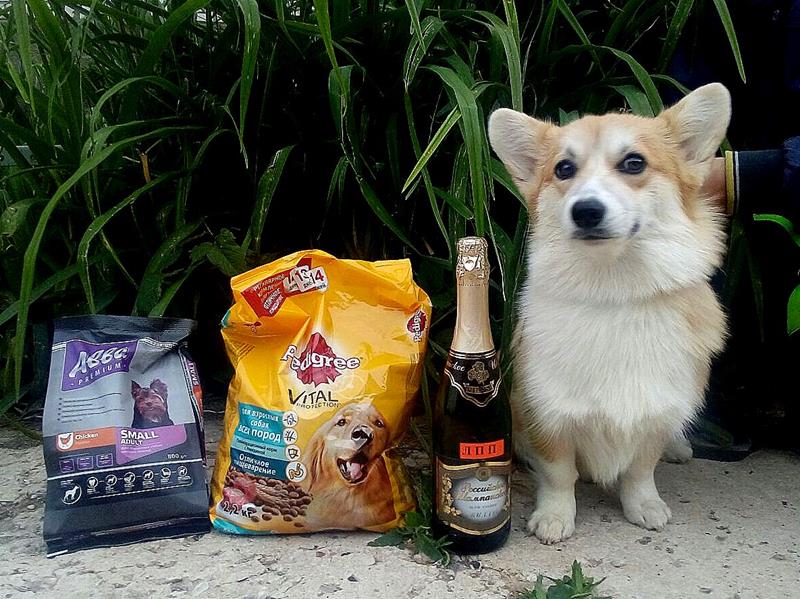 Fancorgi Legally Blonde с призами