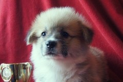 Позитивчик_260816