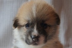 Мальчик 1, 4 недели