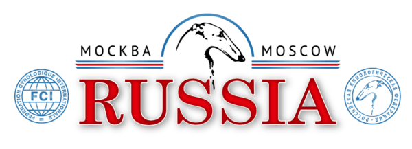 IDS «Russia 2019» наши результаты