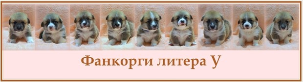 У — помет