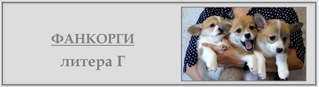 Г-литера