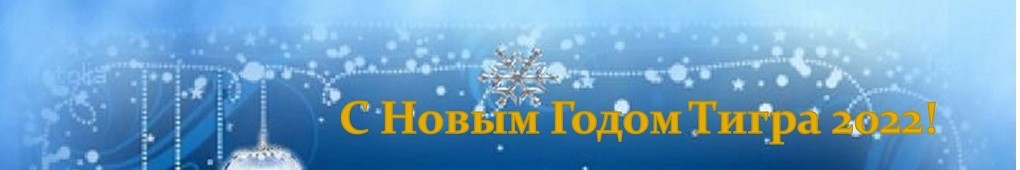 С Новым Годом 2022!