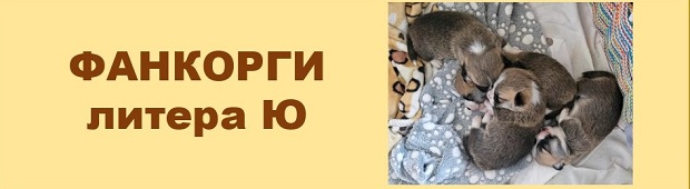 Ю-литера